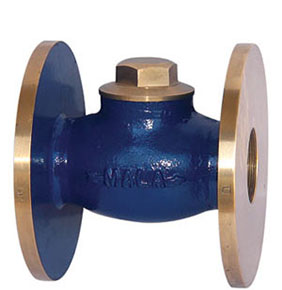 check_valves