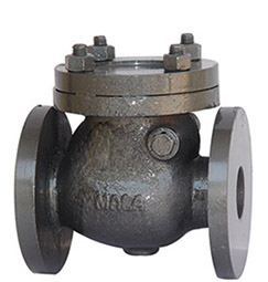 check_valves