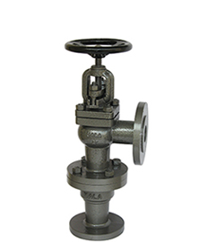 feed_check_valves