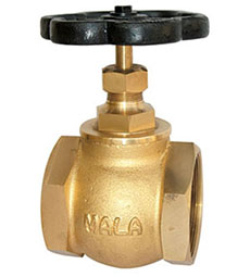 Globe Valves