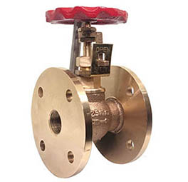 Globe Valves