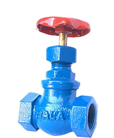 Globe Valves