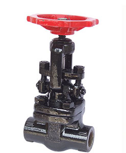 Globe Valve