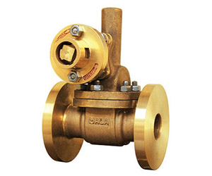 Blow Down Valves